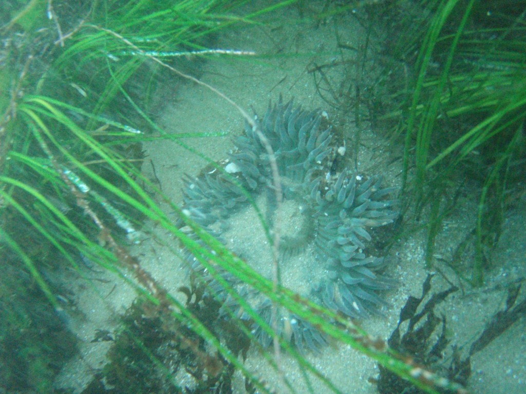 sm_p5183043.jpg