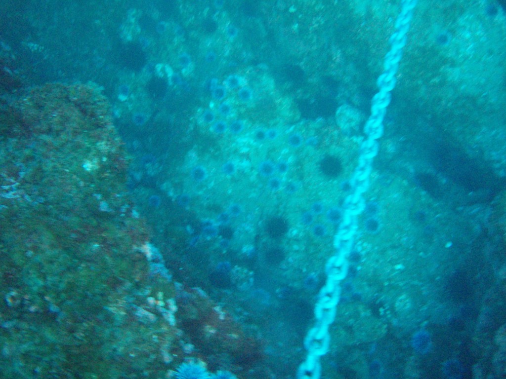 sm_PA256454.JPG