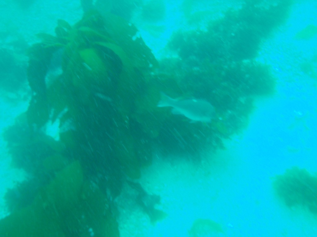 sm_AR-P8213469.JPG