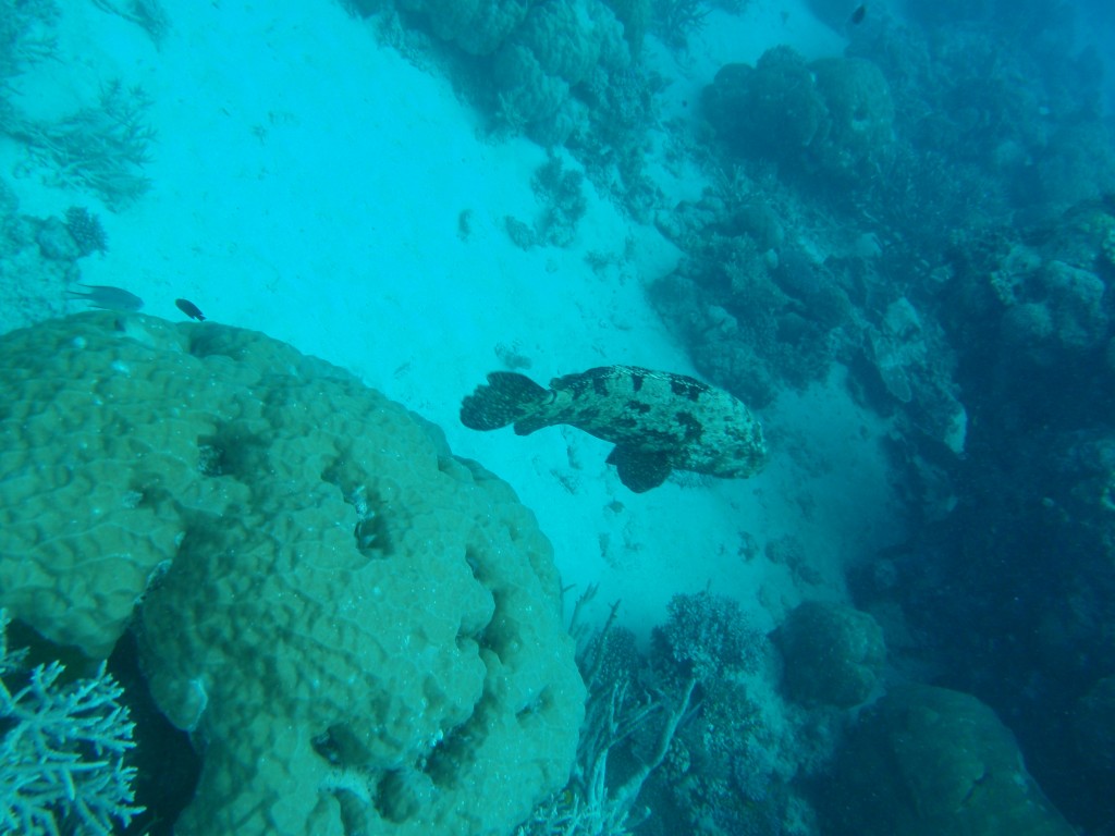 sm_AR-P9013702.JPG